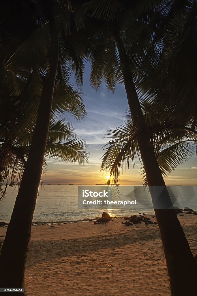 Sunset on the beach Taling Ngam bay(Samui island,Thailand) Abstract Stock Photo