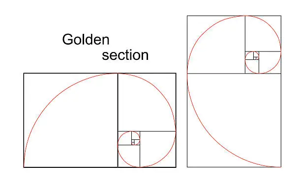 Vector illustration of Illustration of double golden spiral (section, ratio, proportion)