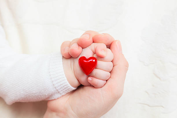 hands of mother and baby closeup holding heart stock photo