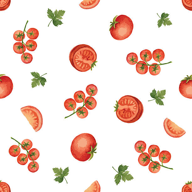 illustrazioni stock, clip art, cartoni animati e icone di tendenza di acquerello seamless pattern - cherry tomato