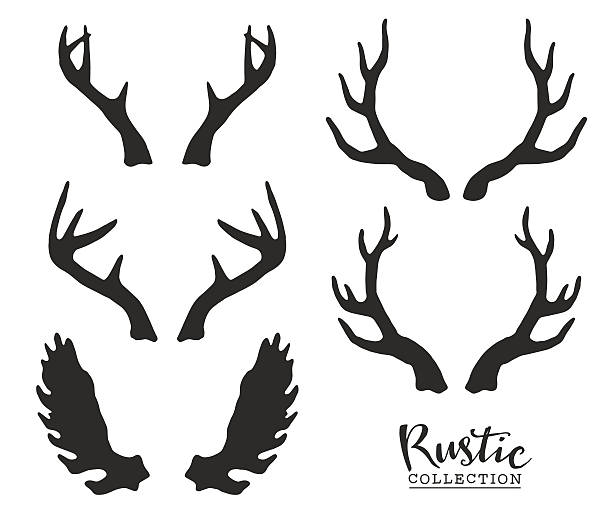 Disegnati a mano vintage antlers. - illustrazione arte vettoriale