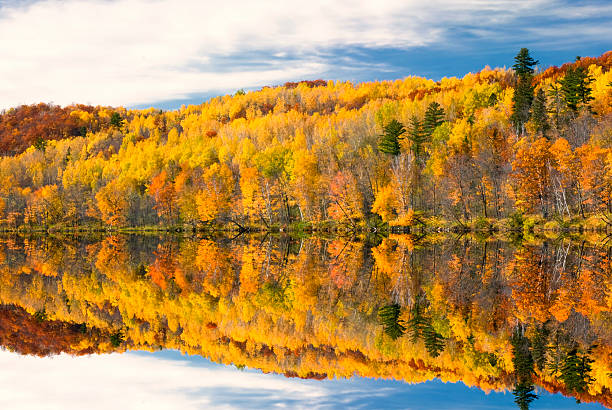 istock Autumn colors reflected in lake, Minnesota, USA 475640263