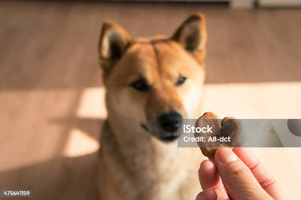 My Valentine Stock Photo - Download Image Now - Snack, Cookie, Valentine's Day - Holiday