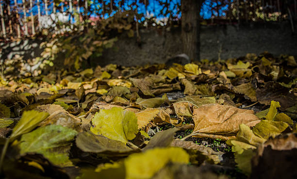 fallen - child portrait fine art portrait multi colored stock-fotos und bilder