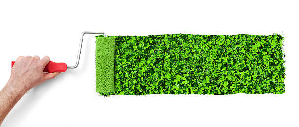 istock Painting the wall with grass 475645798