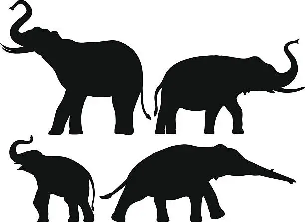 Vector illustration of Elephants