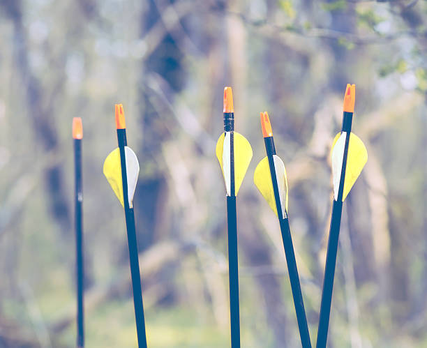 istock Bow Arrows Sport archery concept 475651028