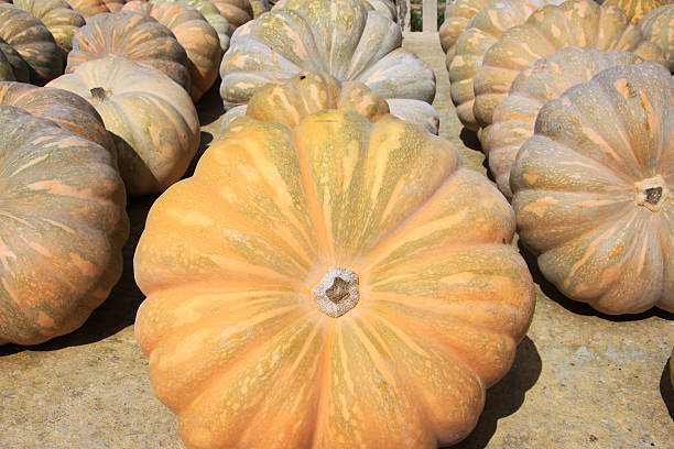 Round pumpkins