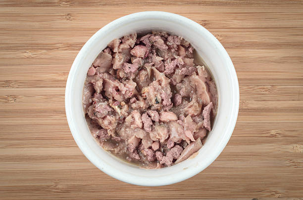 istock Cat bowl with wet cat food 475659294
