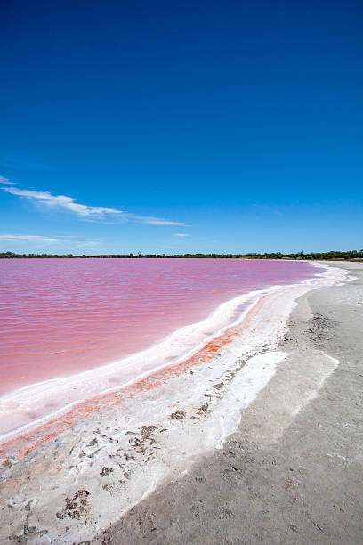 istock Pink water of salt lake 475660376