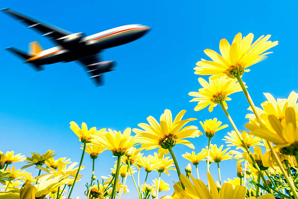 istock passenger airplane flying over spring flowers 475661166