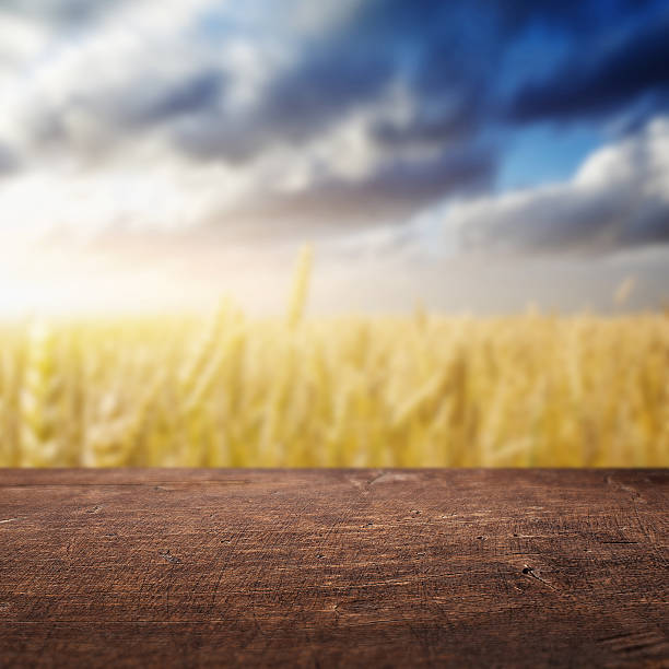 istock Wooden floor and golden wheat under dramatic sky 475672052