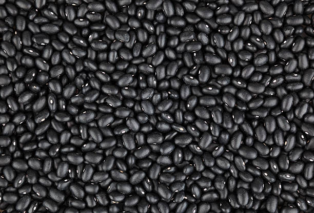 schwarze bohnen - bush bean stock-fotos und bilder