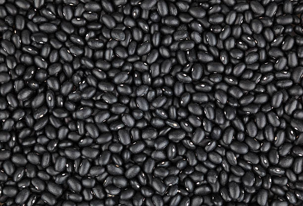 feijão-preto - bush bean - fotografias e filmes do acervo