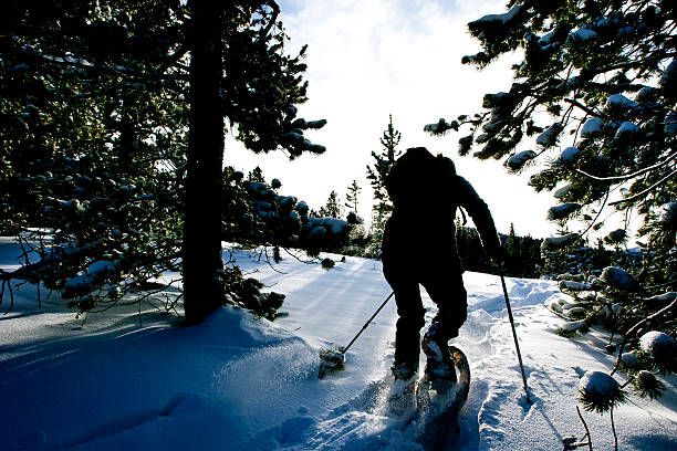 istock Snowshoe Adventure Girl 475680579