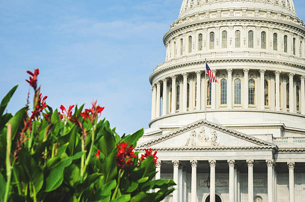 istock washintgton dc with us flag waving 475683937