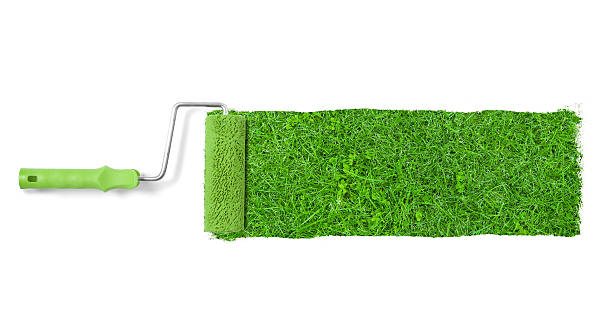 istock Painting the wall with grass 475685078