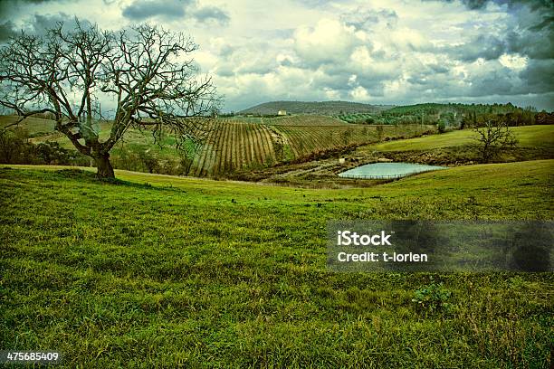 Toscana Paisagem Ondulada - Fotografias de stock e mais imagens de Agricultura - Agricultura, Ao Ar Livre, Beleza natural