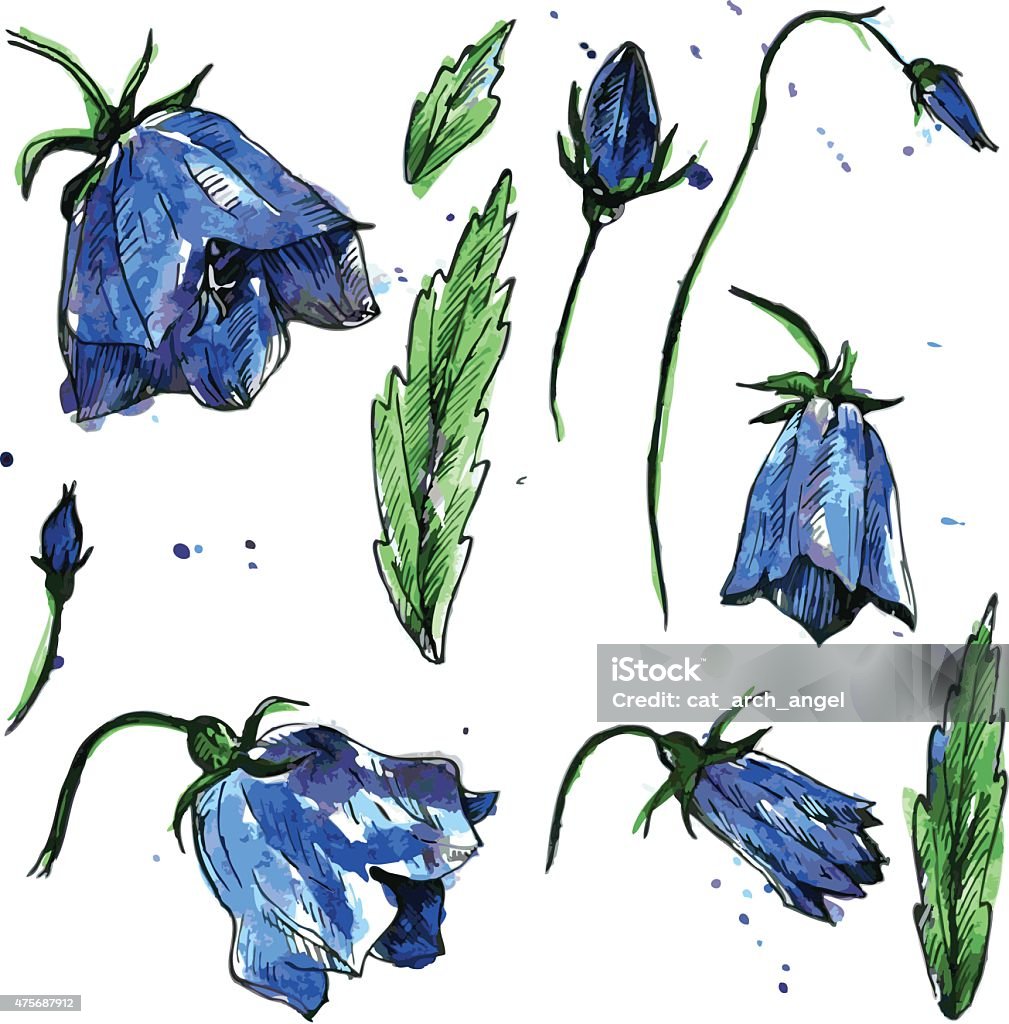 watercolor vector floral set set of blue bellflowers, drawn by watercolor, isolated blue flowers, buds and leaves of campanula, hand drawn floral design elements 2015 stock vector