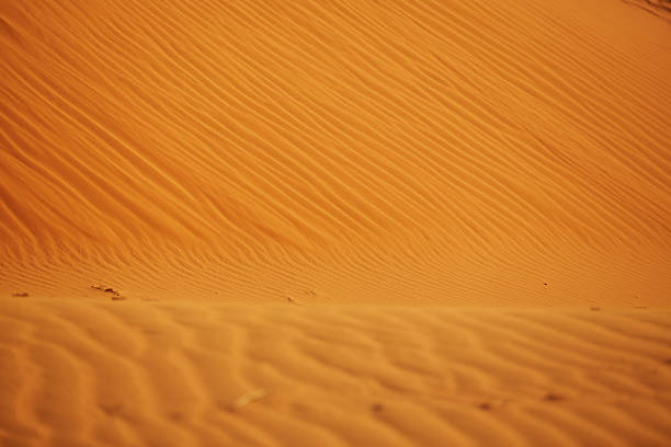 istock texture of sand in the desert from the winds 475688088