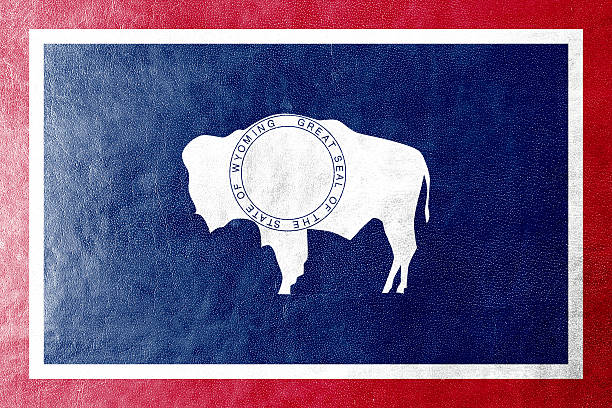 istock Wyoming State Flag painted on leather texture 475689391
