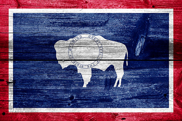 istock Wyoming State Flag painted on old wood plank texture 475691877