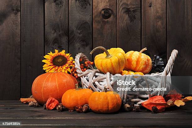 Pumpkins Stock Photo - Download Image Now - 2015, Acorn Squash, Autumn