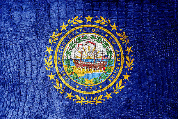 istock New Hampshire State Flag painted on luxury crocodile texture 475696347