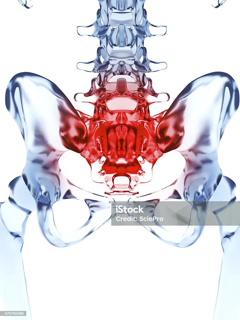 Douloureux sacrum - Photo de Anatomie libre de droits