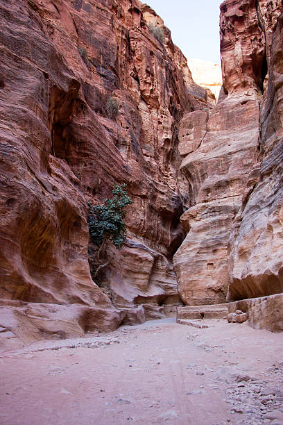 istock Petra, Jordan, The siq 475701141