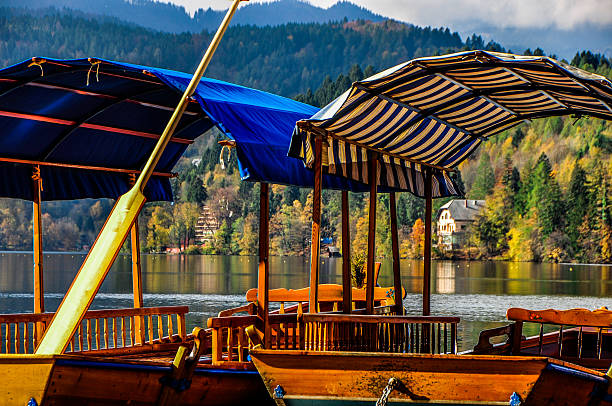 istock Two pletnas on the lake,Bled 475702345