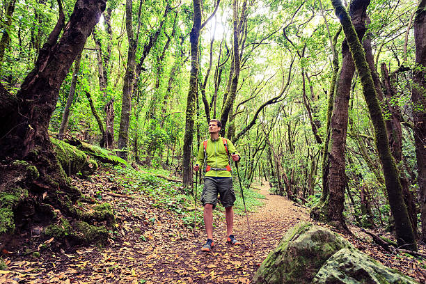 Man hiker hiking in green forest. Young male looking around planning trip or get lost in green beautiful forest, La Gomera, Canary Islands Spain.