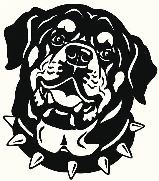 Vector illustration of rottweiler head black and white