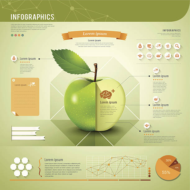 apple vorlage für infografiken in grün und orange - apple grafiken stock-grafiken, -clipart, -cartoons und -symbole