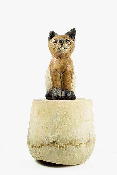 istock brown wood cat statue on coconut shell isolated 475705550