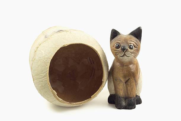 istock brown wood cat statue and coconut shell isolated 475705556
