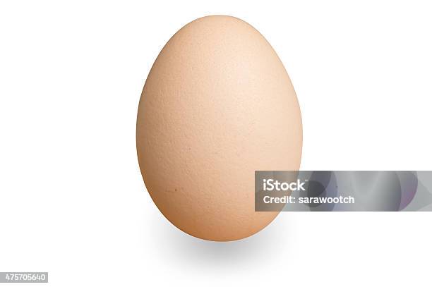 Close Up Of An Egg Isolated On White Background Stock Photo - Download Image Now - 2015, Agriculture, Animal