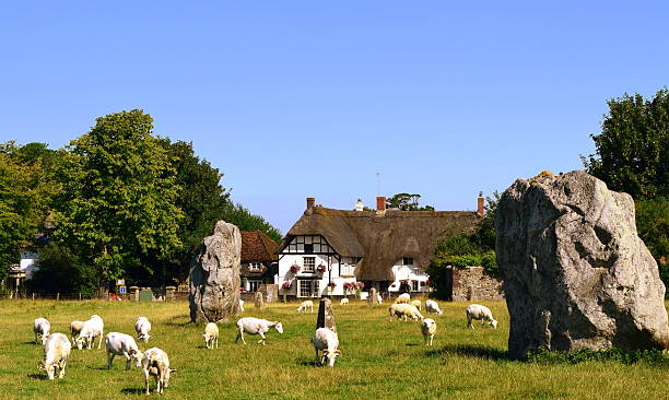 Village and Goats, Avebury A sunlit view of large ancient standing stones and the village of Avebury north Wiltshire. Avebury is the largest, most impressive and complex prehistoric site in Britain and in my opinion far more impressive than Stone Henge although less iconic wiltshire stock pictures, royalty-free photos & images