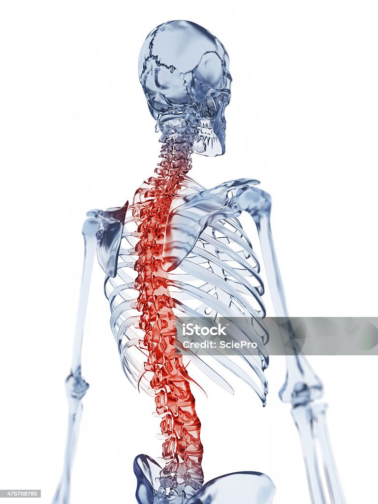 Боль в нижней части спины - Стоковые фото Анатомия роялти-фри