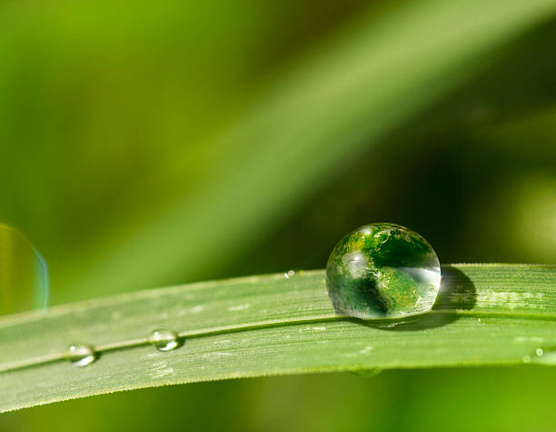 Zielona Planeta Ziemia rozwijanej – zdjęcie