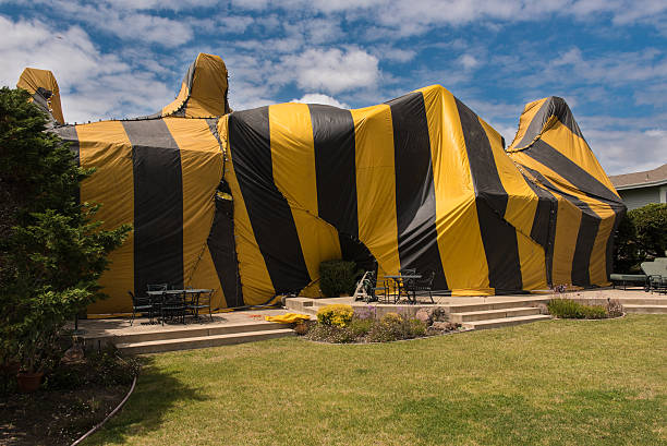 House is covered by tent for fumigation stock photo