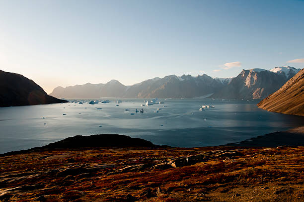 Icebergs Fjord