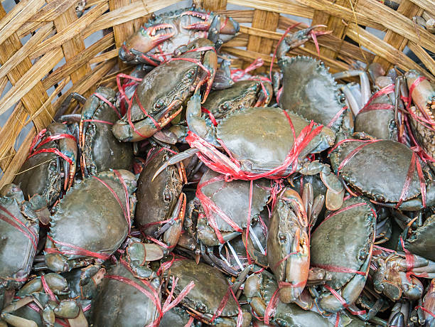 istock Fresh living crabs 475713494