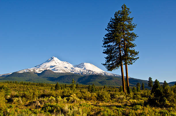 istock Mount Shasta and Shastina 475714234