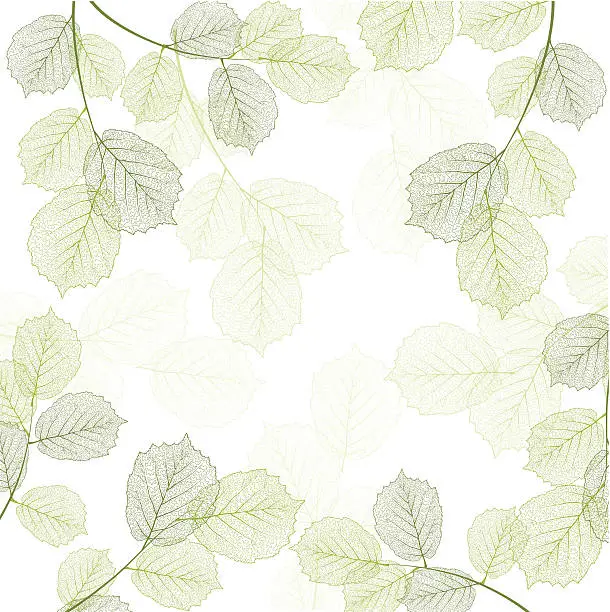 Vector illustration of Spring leaves frame
