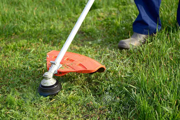 Photo of Mowing the grass