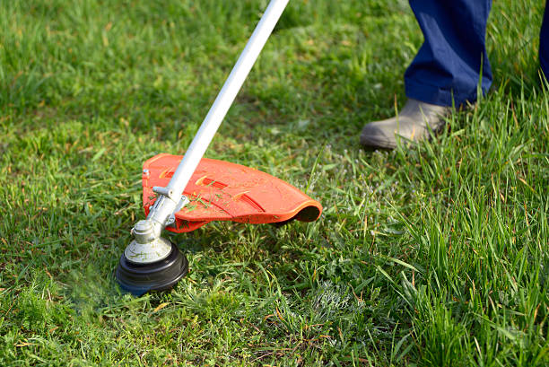 mowing a grama - podador - fotografias e filmes do acervo