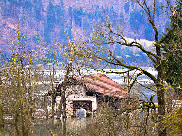 swiming house - planinsko polje zdjęcia i obrazy z banku zdjęć