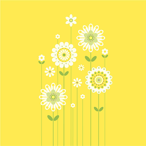 illustrations, cliparts, dessins animés et icônes de croissance des fleurs de printemps rétro sur jaune - daisy sunflower