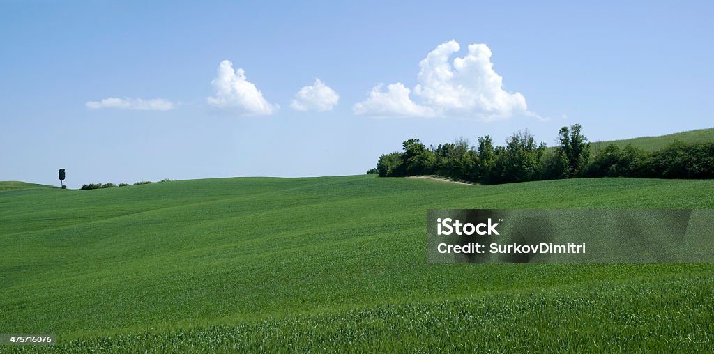Agricultural landscape Agricultural landscape in Tuscany, Italy 2015 Stock Photo